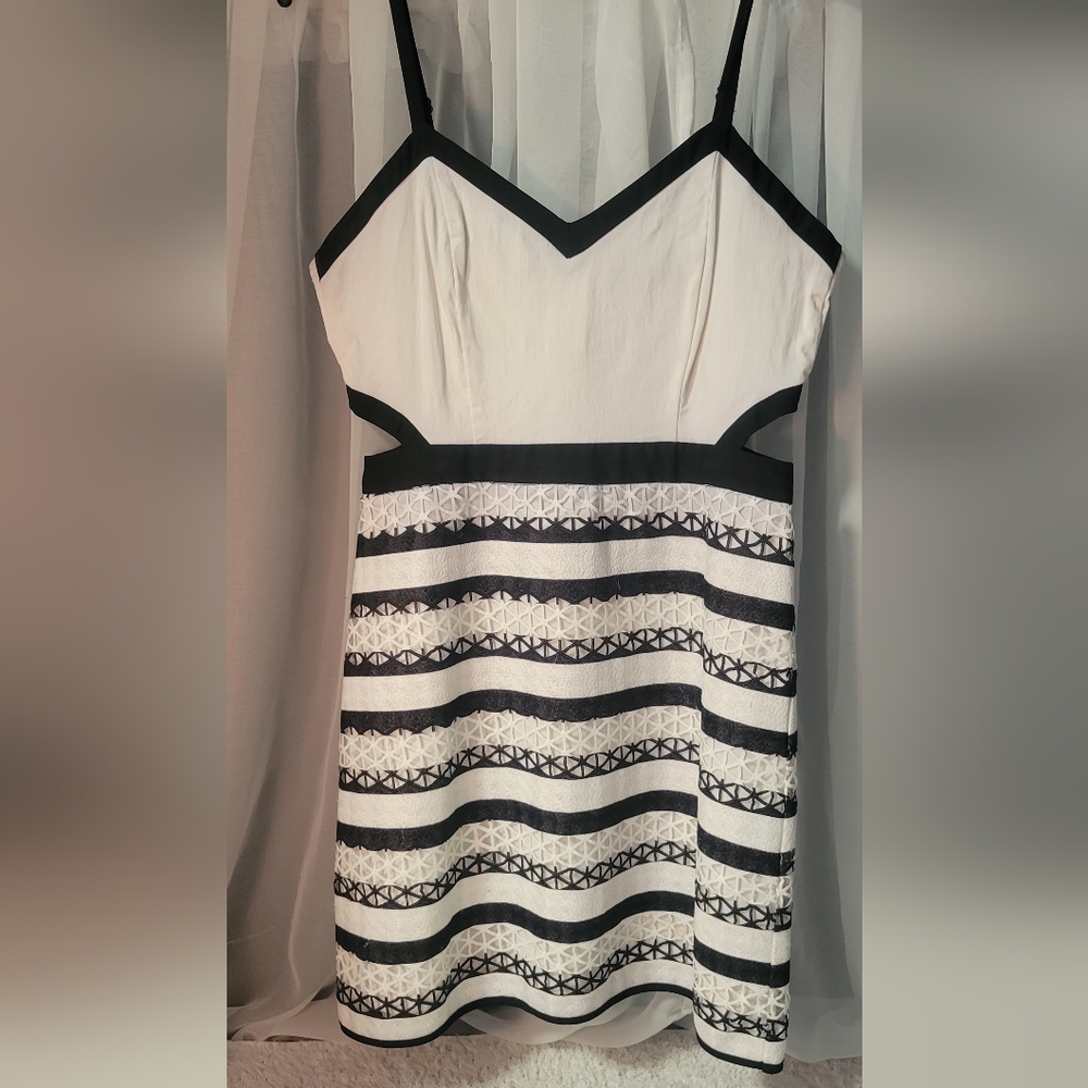 Jealous Tomato Monochrome Striped Mini Dress